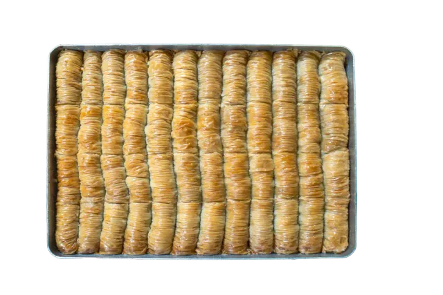 Burma ceviz